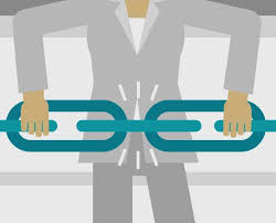 Backlink Risk yönetimi